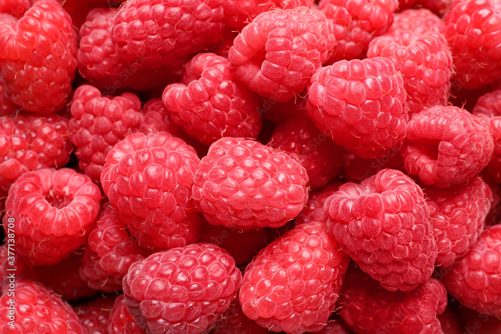 Fresh sweet ripe raspberries as background, closeup Fresh sweet ripe raspberries as background, closeup