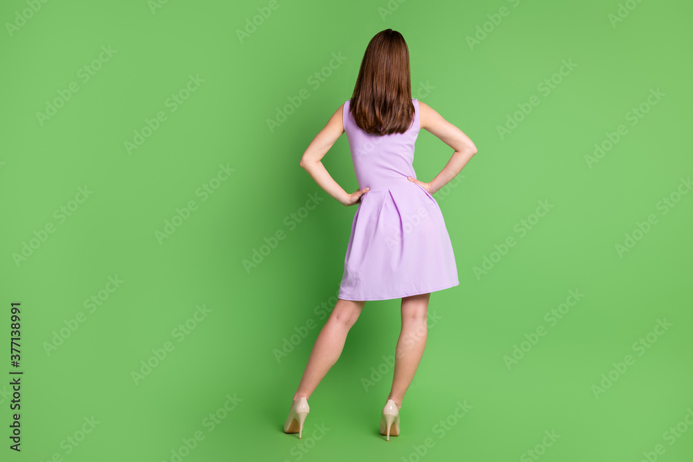Full length body size rear back behind view of her she nice-looking attractive pretty thin slender lady girlfriend wearing lilac cotton dress posing hands on hips isolated over green color background Full length body size rear back behind view of her she nice-looking attractive pretty thin slender lady girlfriend wearing lilac cotton dress posing hands on hips isolated over green color background