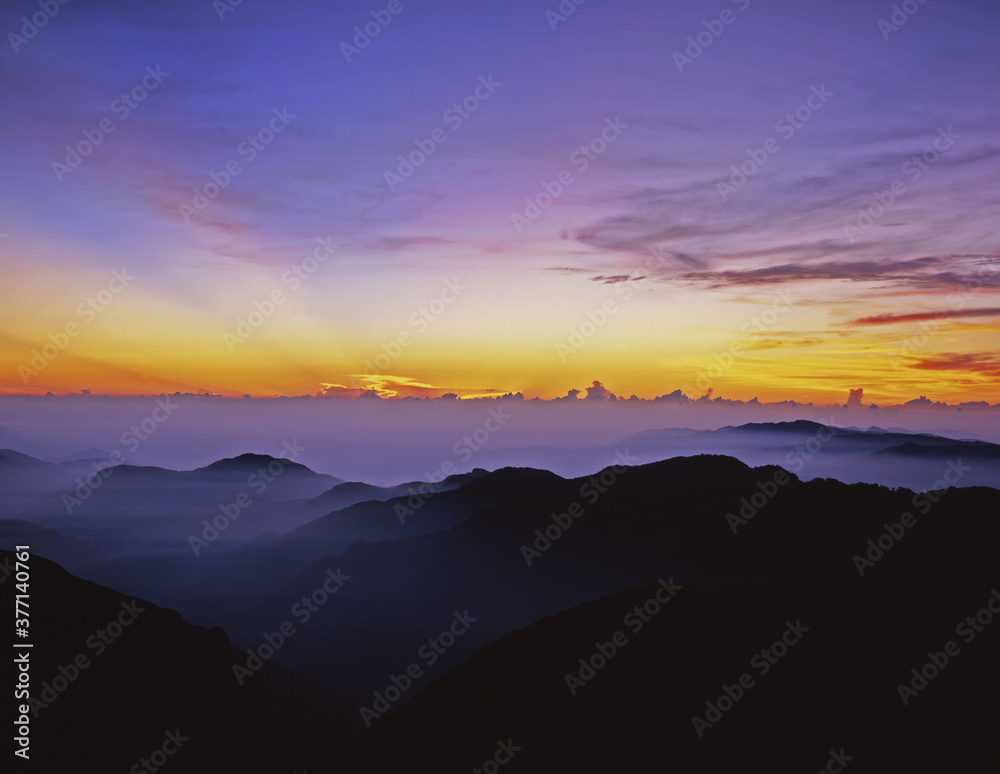 Dawn Dawn