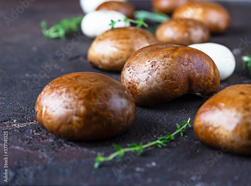 Portobello mushrooms, thyme and rosemary over dark brown concrete background. Selective focus. Close up.