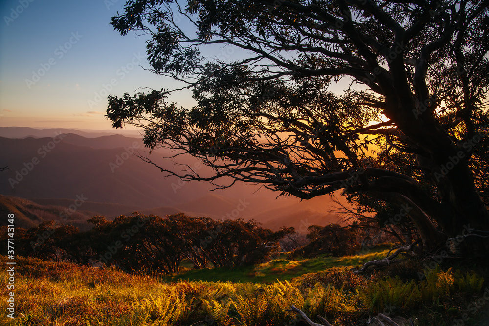 Obraz premium Mt Buller Sunset View Australia