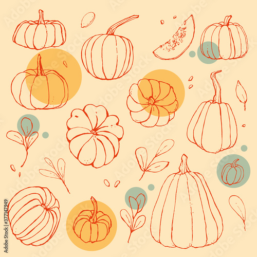 pumpkin line branch leaf seeds harvest autumn orange bright vector art line delicate background menu decoration invitation presentation