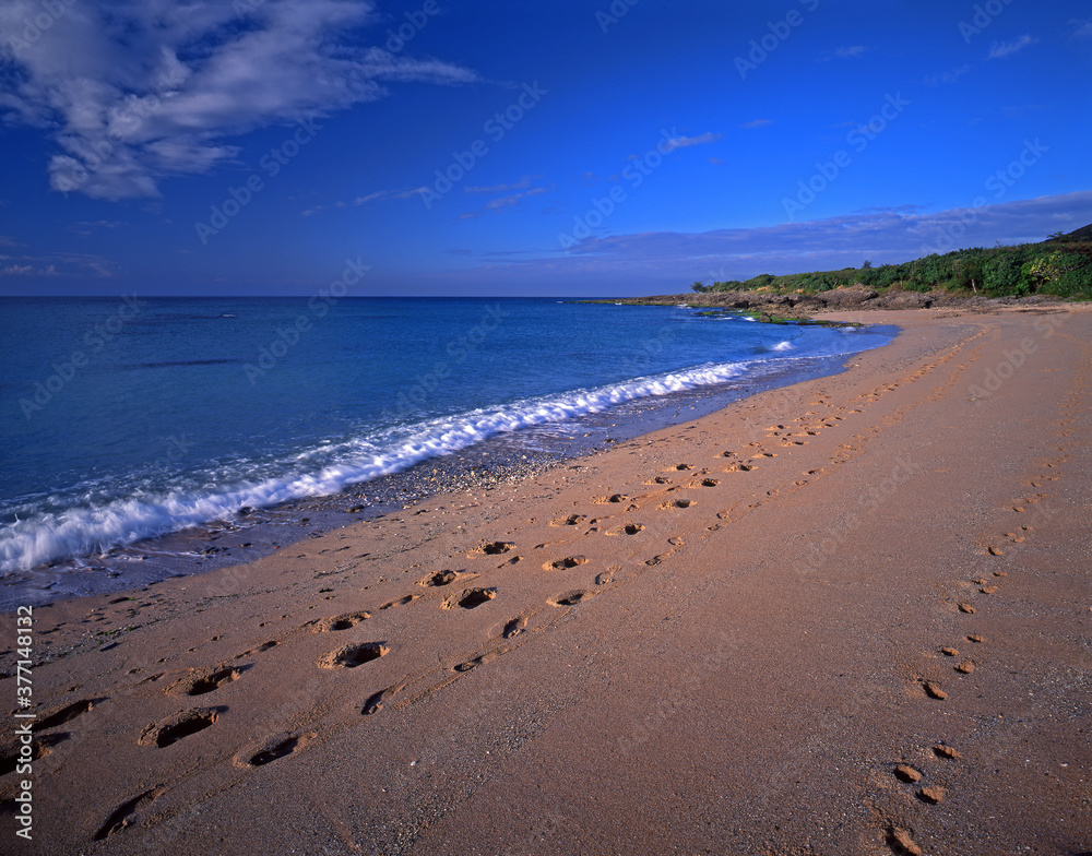 Taiwan Pingtung Kenting Chuanfan Rock coast Taiwan Pingtung Kenting Chuanfan Rock coast