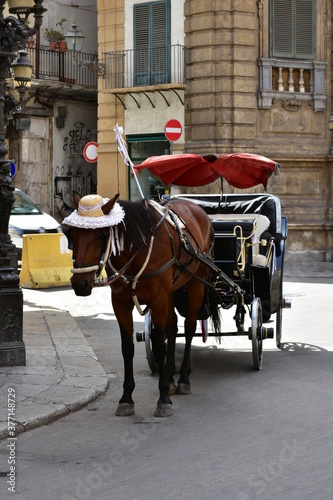 Carrozza palermitana photo