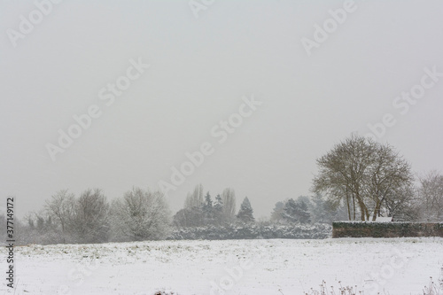 Wallpaper Mural Winter Snow Fields and Farm Torontodigital.ca