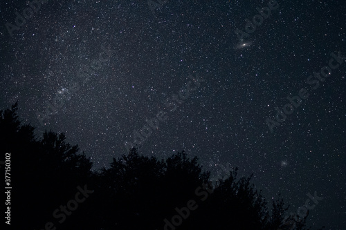 Starry Night Sky in Poloniny National Park