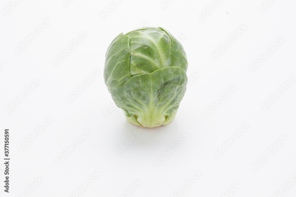 Fototapeta premium brussells sprouts isolated on white background