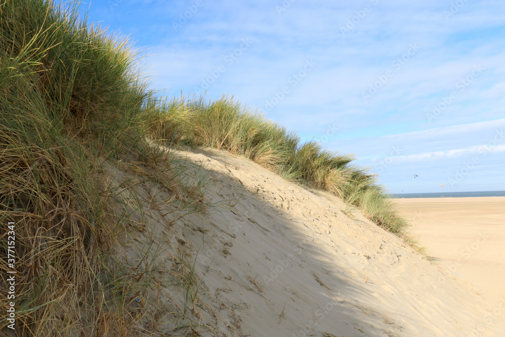 Sanddüne in Holland an der Nordsee