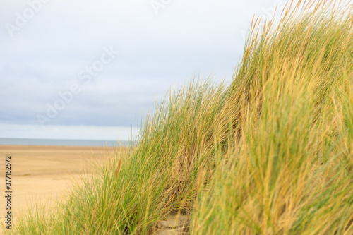 Sandd  ne in Holland an der Nordsee