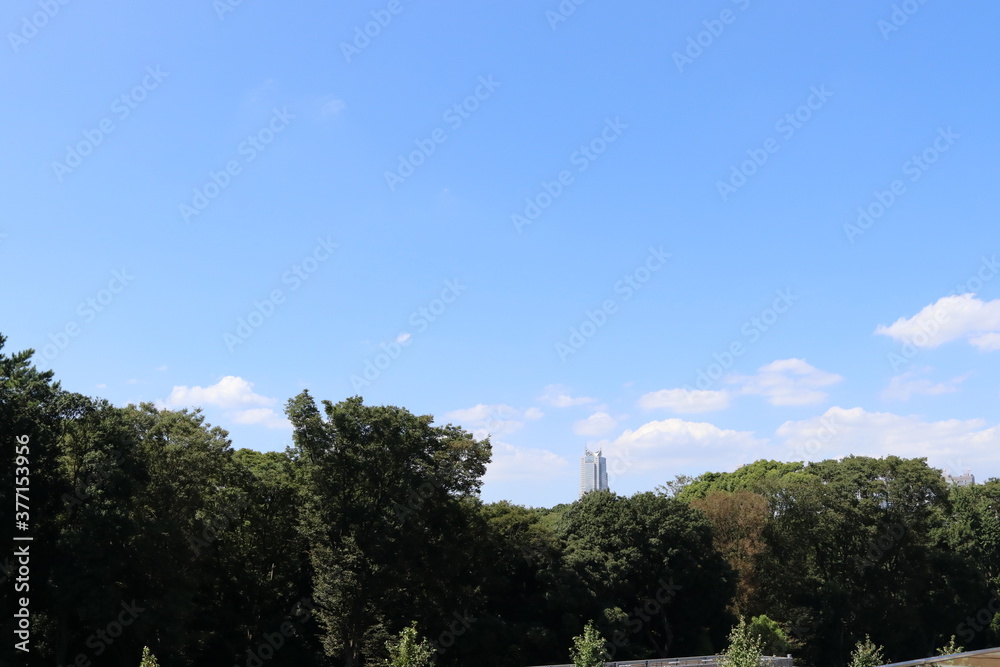 Obraz premium a tower over green forest