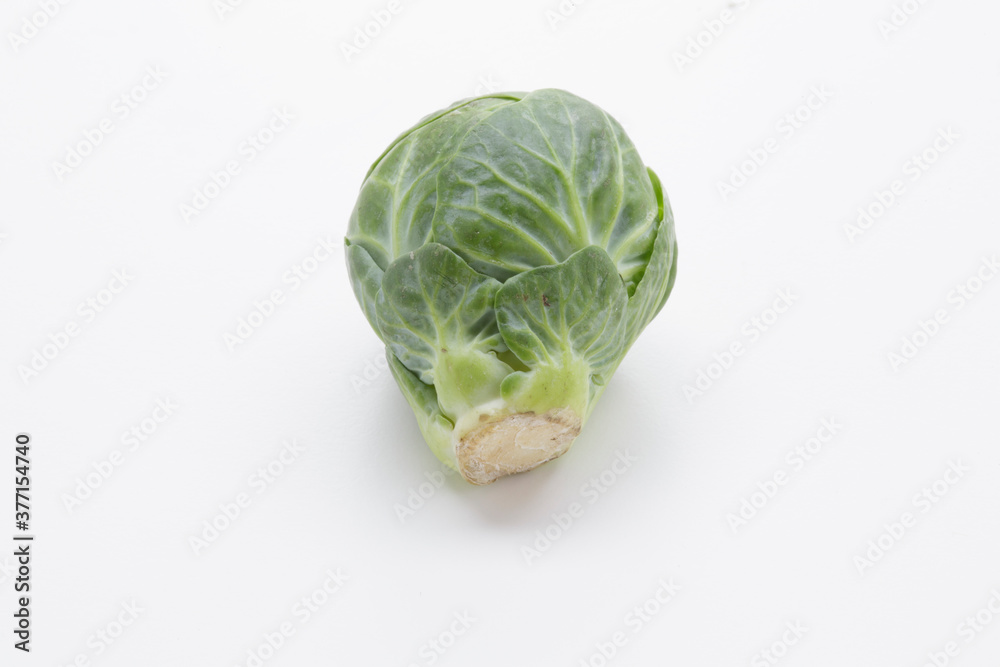 Fototapeta premium brussells sprouts isolated on white background