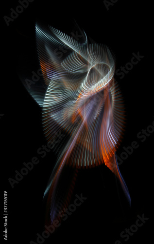 Long exposure photograph of multicolored light trails forming a complex twisted geometric pattern of parallel lines against a dark background. Only photo, no illustration.