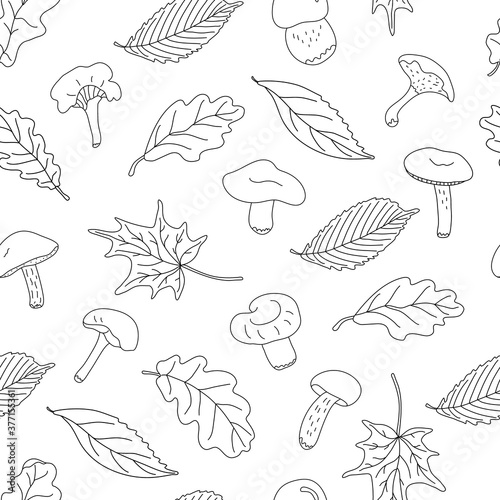 Autumn vector seamless pattern with forest edible mushrooms and leaves on white background. Great for fabrics, wrapping papers, wallpapers, covers. Doodle sketch style illustration in black ink.