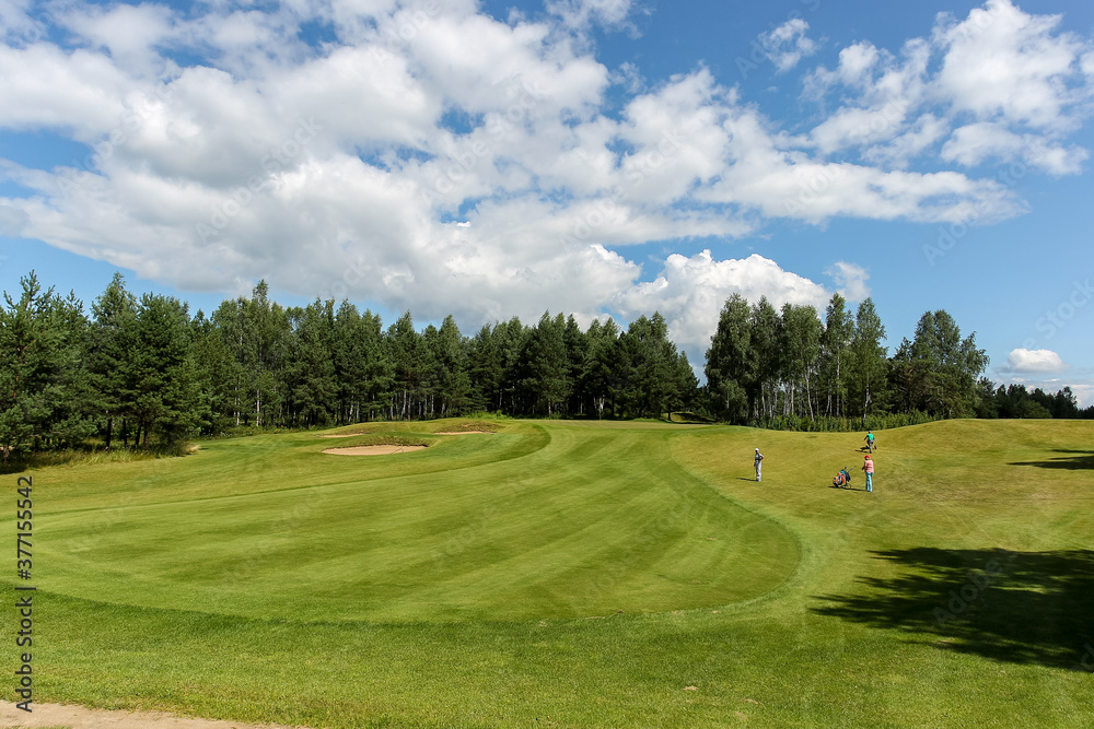 The Summer landscape golf course panorama and background. 