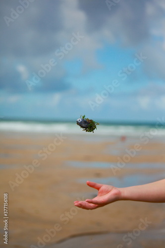 hand on the beach
