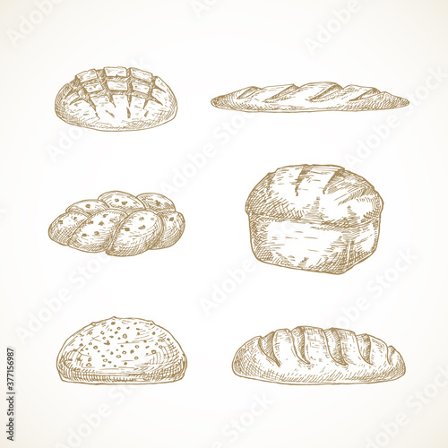 Vector Brread Sketches Set. Hand Drawn Illustrations of Challa, Sourdough Loaf, Brick and Baguette. photo