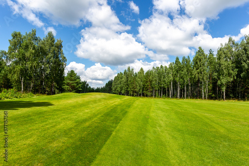 Fototapeta Naklejka Na Ścianę i Meble -  The Summer landscape golf course panorama and background. 