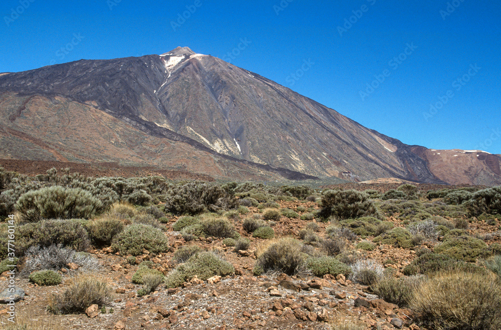 Parc national, Volcan Teide, Ile  de Tenerife, Iles Canaries, Espagne