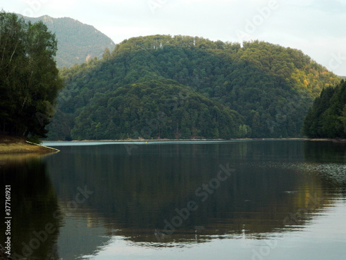 Firiza lake and forest in Maramures county, Romania photo