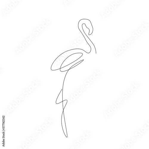 Flamingo line drawing vector illustration