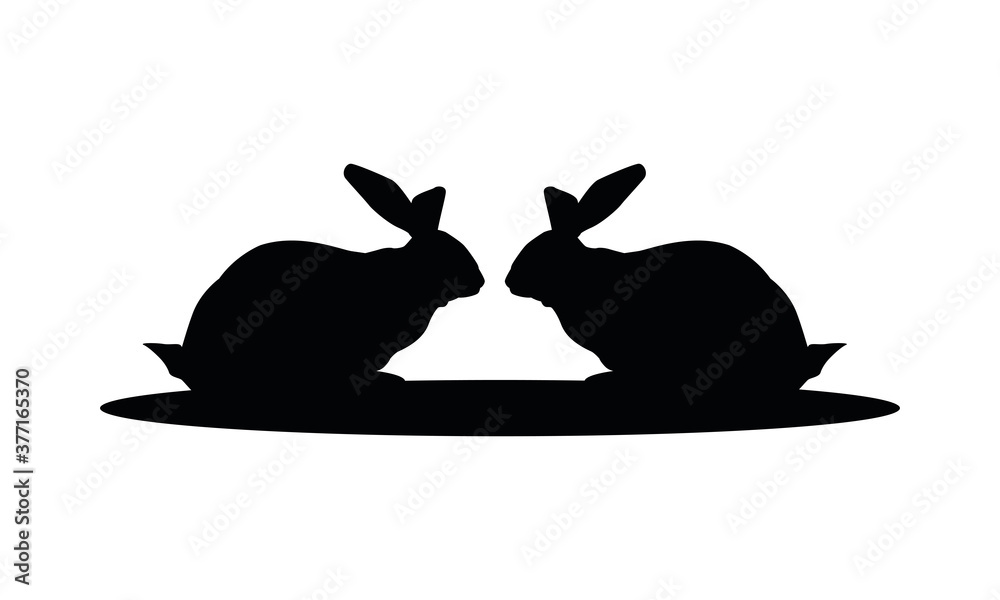 cute wild rabbits animals nature silhouettes