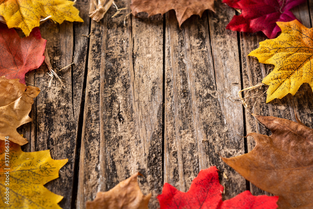 Obraz premium Autumn red and orange leaves background with copy space