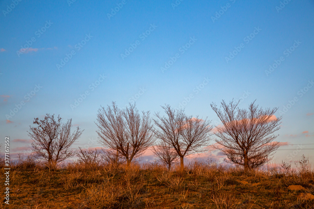 Allphotokz Taldykorgan Way 20141111 2376 5DM3 S Allphotokz Taldykorgan Way 20141111 2376 5DM3 S