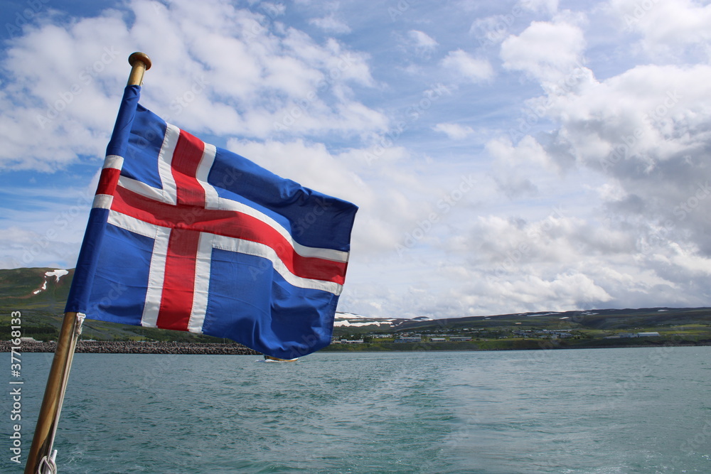 Fototapeta premium National Flag of Iceland blowing in the wind
