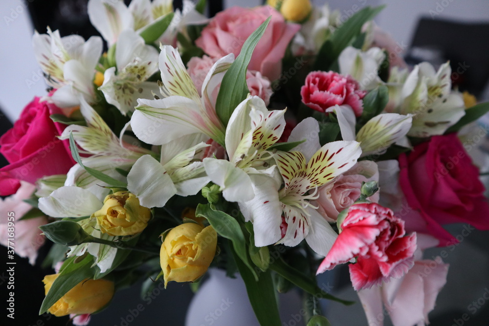 Fototapeta premium Flowers