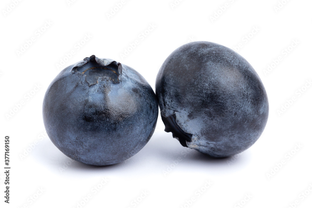 Obraz premium blueberry isolated on White background