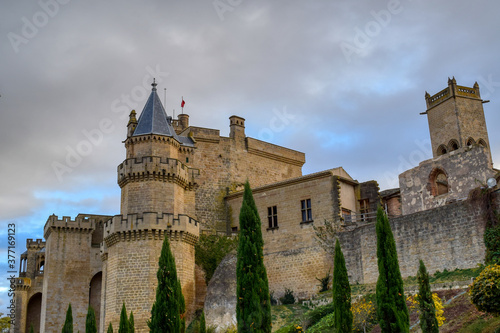 Castillo de Olite photo