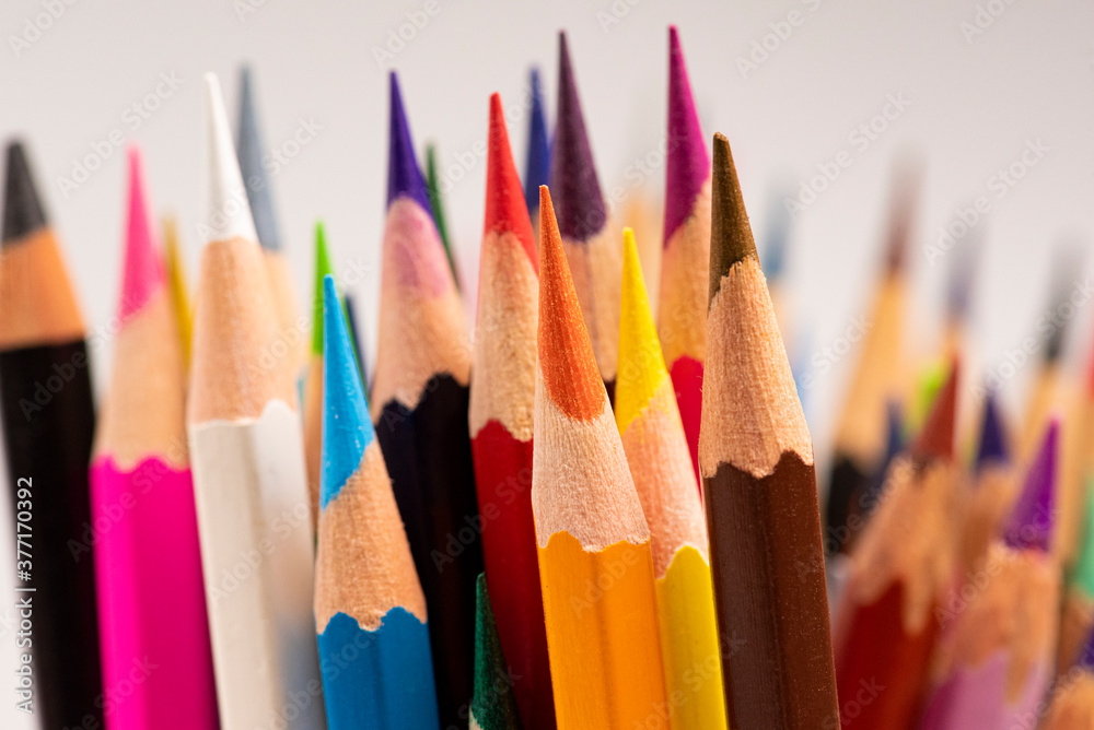 Colour wood pencils isolated on white background. Macro Colour wood pencils isolated on white background. Macro