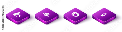 Set Isometric Marijuana or cannabis olive oil, leaf, Herbal ecstasy tablets and plant icon. Vector.