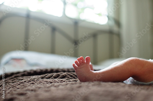 closeup of baby foot and toes photo