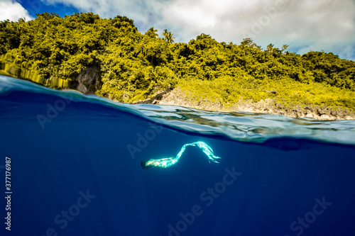 A mermaid diving half underwater