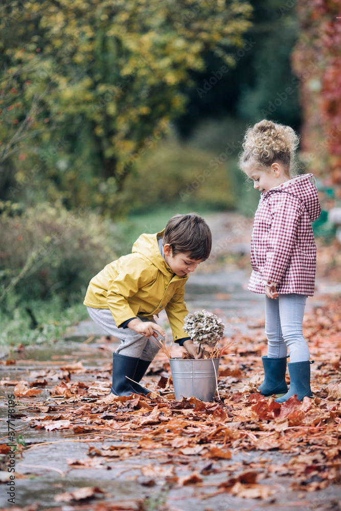 Portrait Of A Girl And Boy Collecting Autumn Leafs.