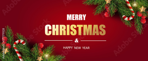 Merry Christmas and Happy New Year. Christmas banner design of tree branches with berries, gold stars, candy canes and decorated in red background. 