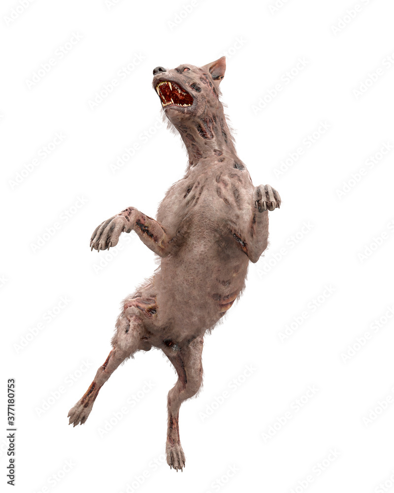Fototapeta premium zombie dog is on joy pose and isolated in white background