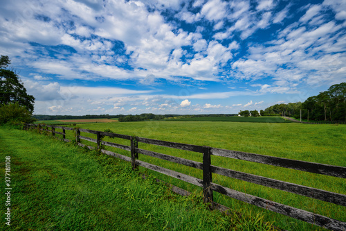 Fields and Sky