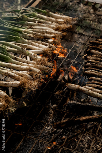 Calçotada photo