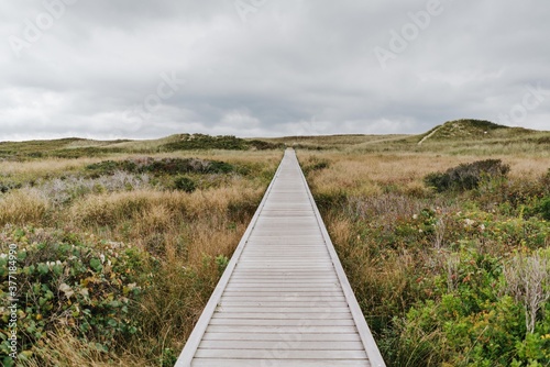 Wallpaper Mural stormy day at hte beach Torontodigital.ca