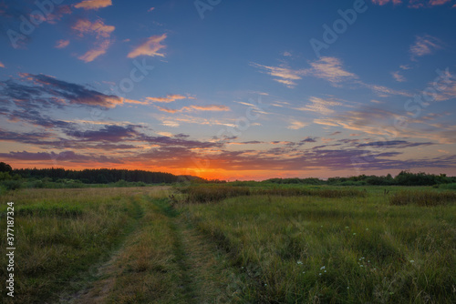 Landscape with country road in meadow against beautiful sunset © Vitaliy