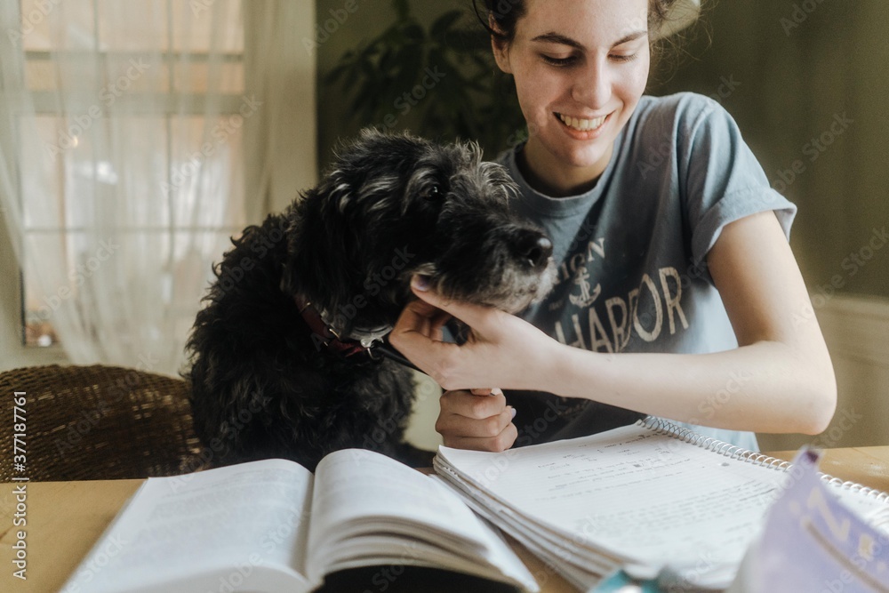 teen girl and her dog doing school together teen girl and her dog doing school together