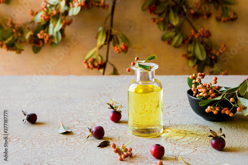 Natural Organic Face Oil