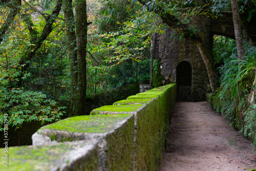 Moorish castle tower passage with moss on green area in Sintra, Portugal