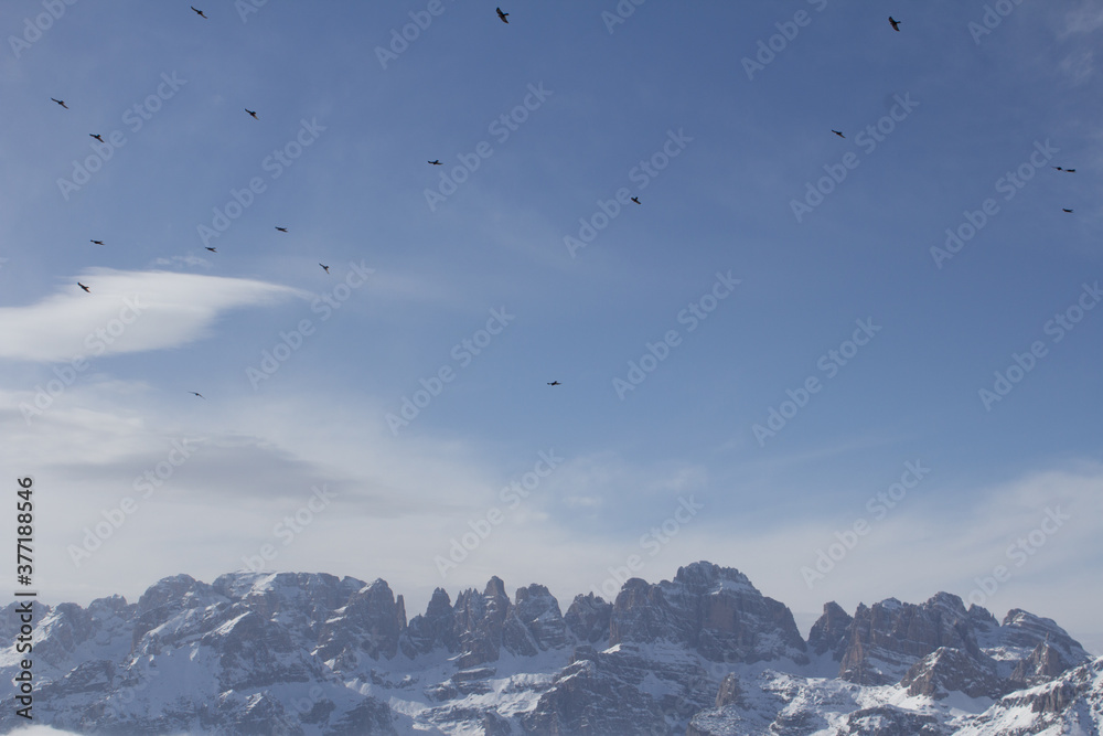 panorama delle Dolimiti da una vetta con nuvole basse panorama delle Dolimiti da una vetta con nuvole basse