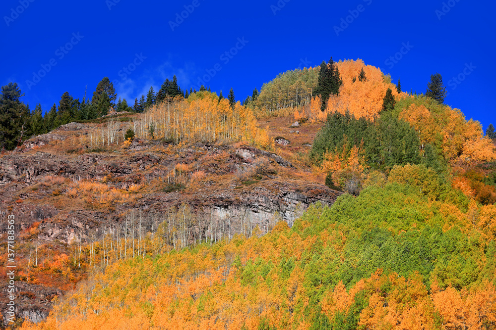 Rocky mountains in Colorado  with fall foliage 
