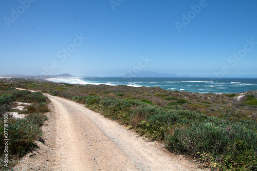 mountain bike trail with table mountain in the distance, cape town, south africa