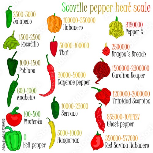 Wallpaper Mural Scoville pepper heat scale. Pepper illustration from sweetest to very hot. Vector illustration. Torontodigital.ca