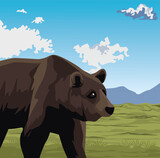 wild bear beast animal in landscape